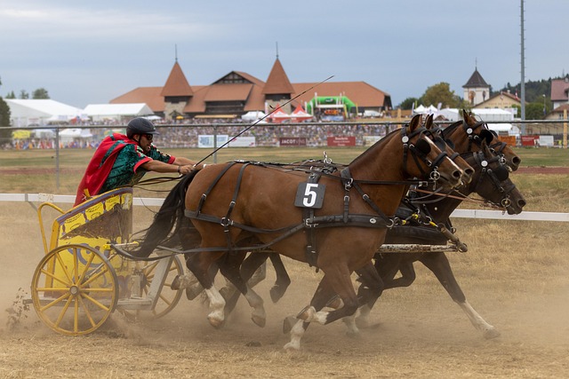 技术为球队 技术为球队