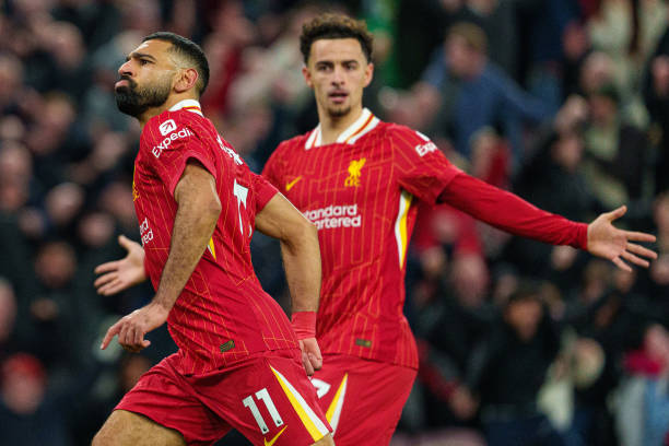 文章不仅提 文章不仅提