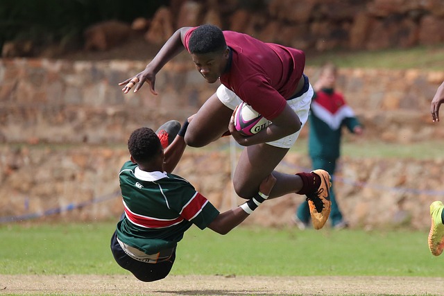 沈子贵的 沈子贵的