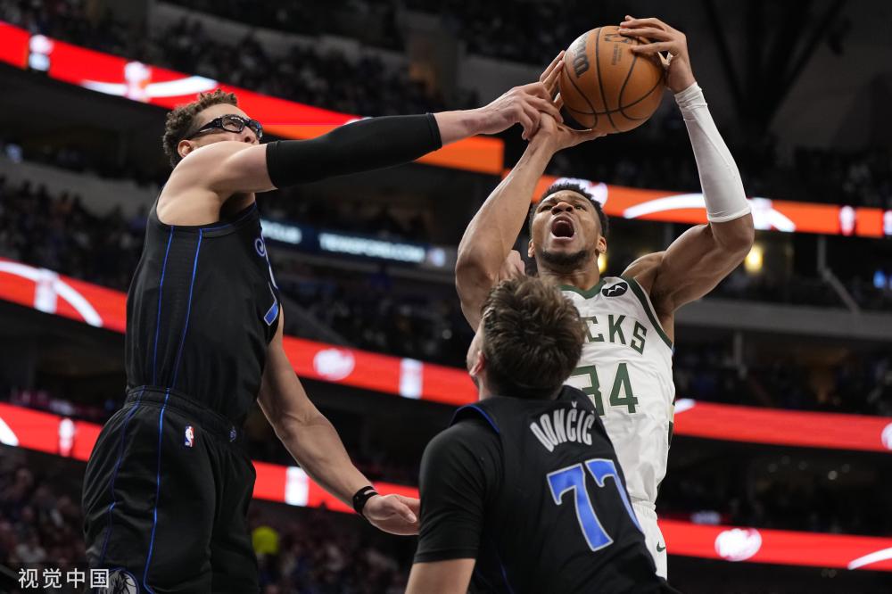 多特蒙德目 多特蒙德目